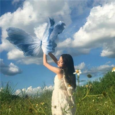 大盗明星梦